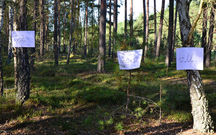 foto systemische aufstellungen schöneberg