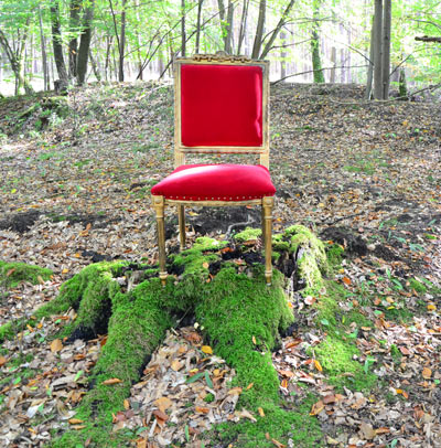 foto coaching in schöneberg