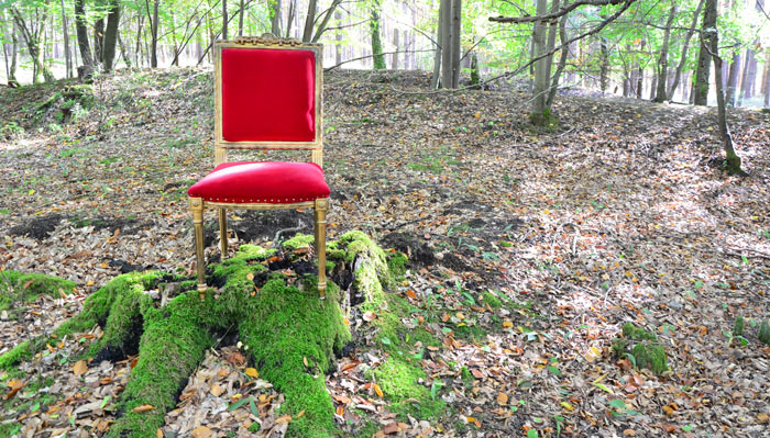 foto lösungsorientiertes kurzzeitcoaching